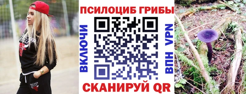 где купить наркоту  Урус-Мартан  Псилоцибиновые грибы MAGIC MUSHROOMS 